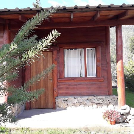 El Jarillal Chalet De Montana A Pasos Del Lago Lago Puelo Exterior foto