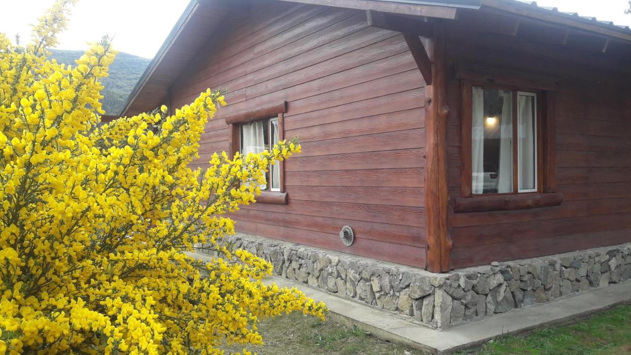 El Jarillal Chalet De Montana A Pasos Del Lago Lago Puelo Exterior foto