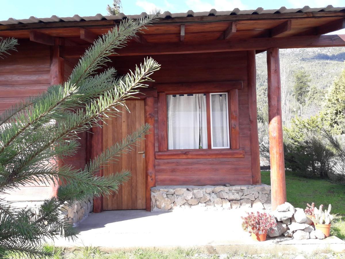 El Jarillal Chalet De Montana A Pasos Del Lago Lago Puelo Exterior foto